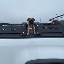 Load image into Gallery viewer, THORAX BED RACK SYSTEM- FITS DIAMOND BACK COVERS 2015-2020 CHEVY COLORADO/GMC CANYON Chassis Unlimited Inc. 
