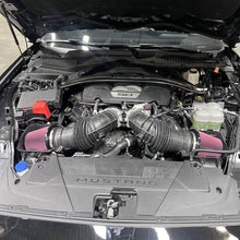 Load image into Gallery viewer, STOCK REPLACEMENT FILTERS FOR THE 2024-2025 FORD MUSTANG GT 5.0L
